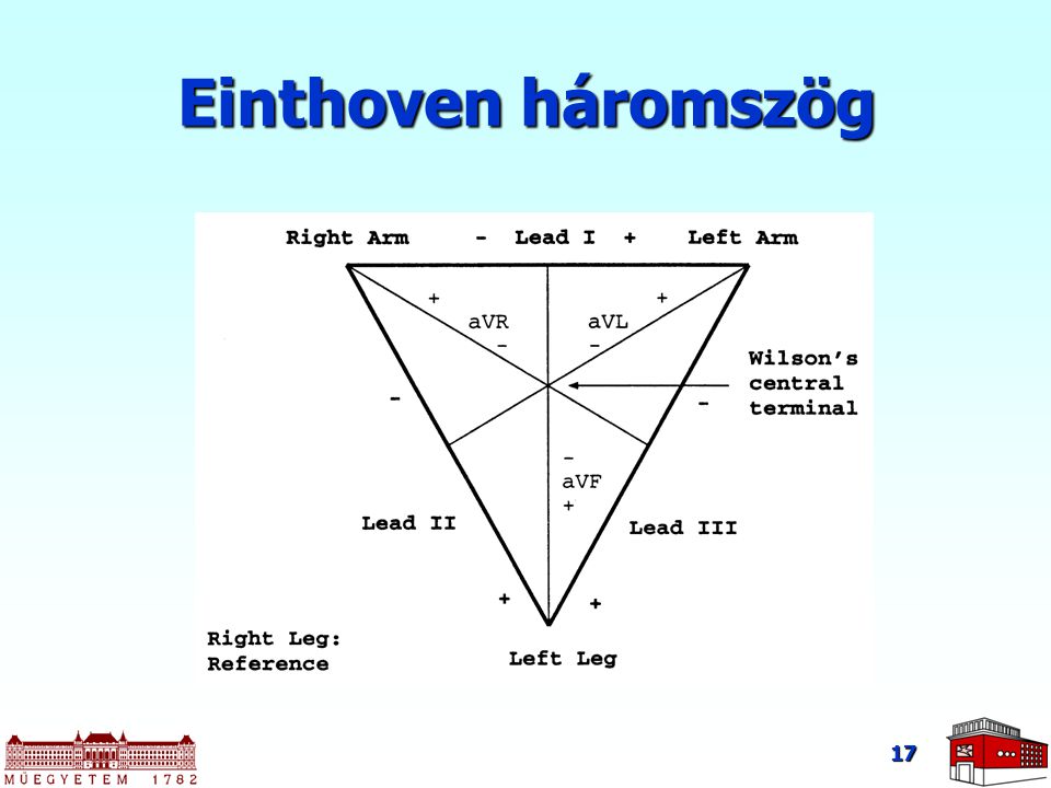 Einthoven háromszög