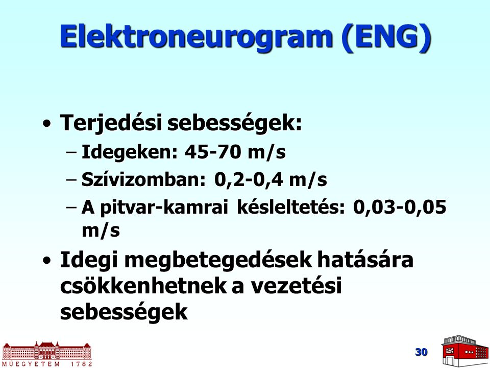 Elektroneurogram (ENG)