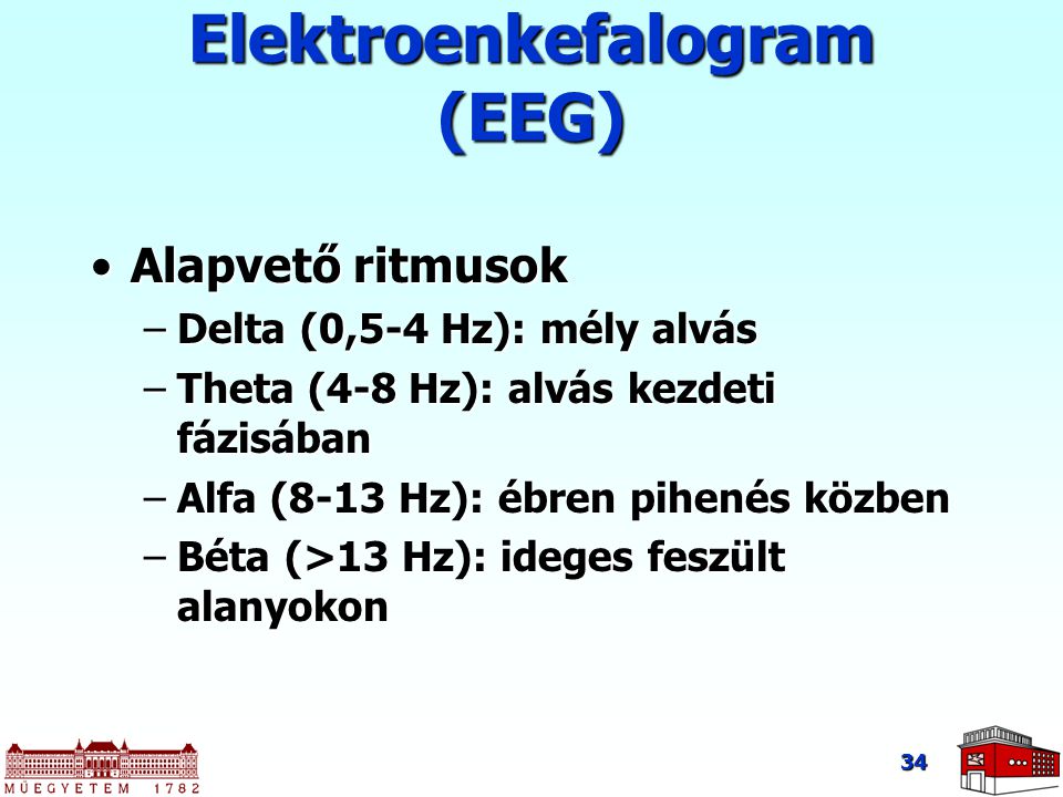 Elektroenkefalogram (EEG)