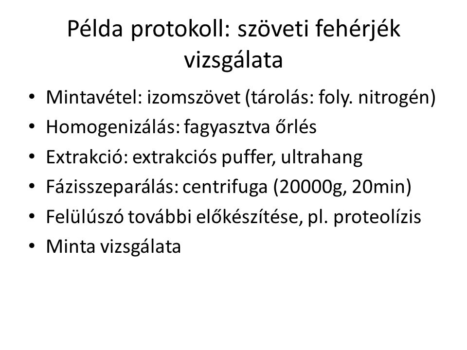 Példa protokoll: szöveti fehérjék vizsgálata