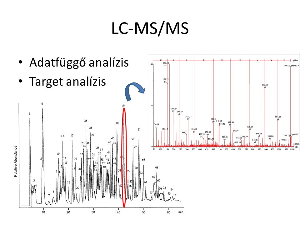 LC-MS/MS Adatfüggő analízis Target analízis