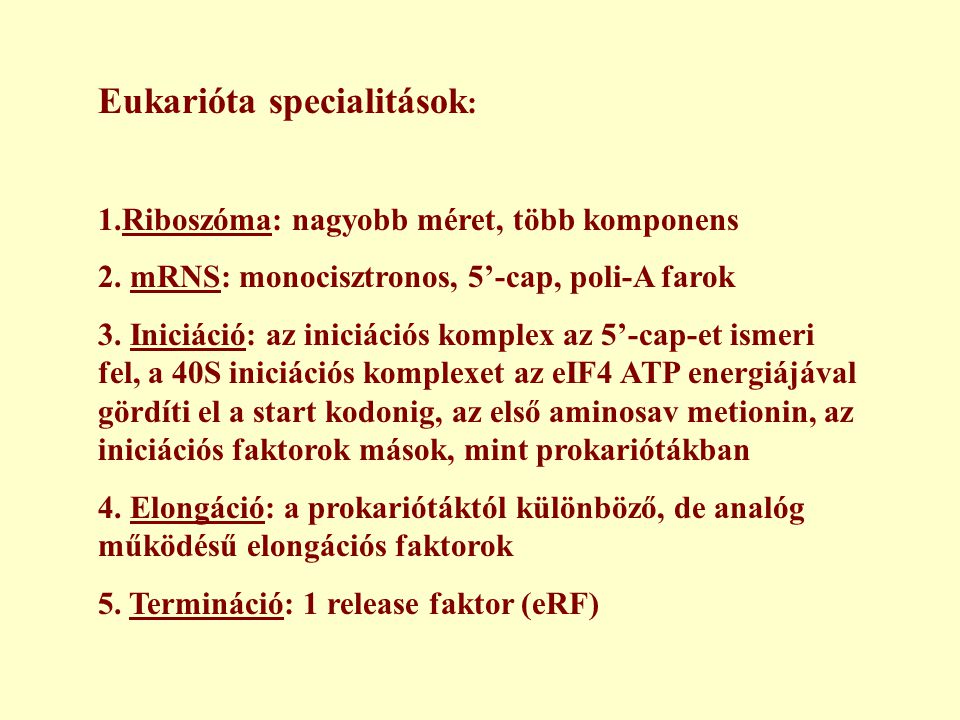 Eukarióta specialitások:
