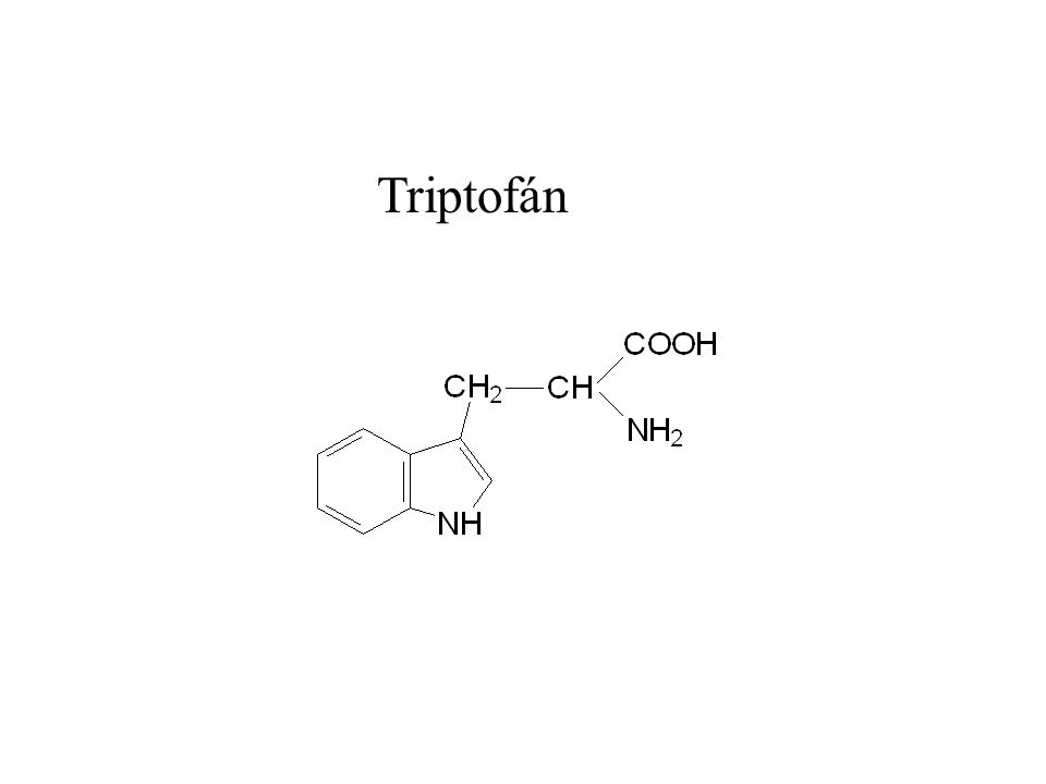 Triptofán