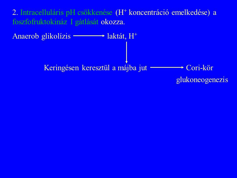 2. Intracelluláris pH csökkenése (H+ koncentráció emelkedése) a foszfofruktokináz I gátlását okozza.
