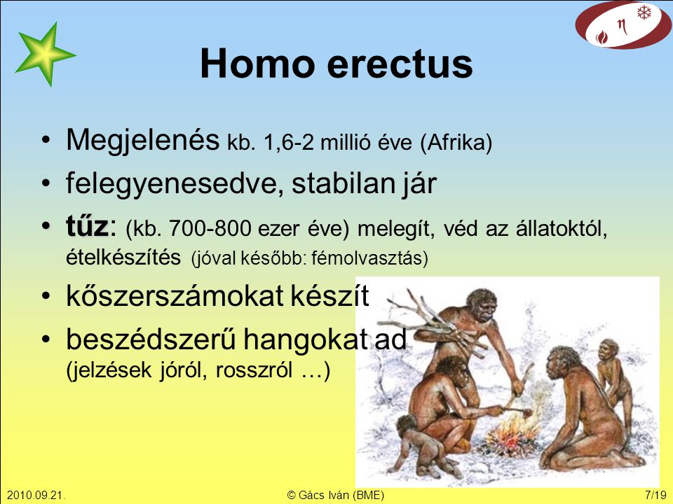 Homo erectus Megjelenés kb. 1,6-2 millió éve (Afrika)