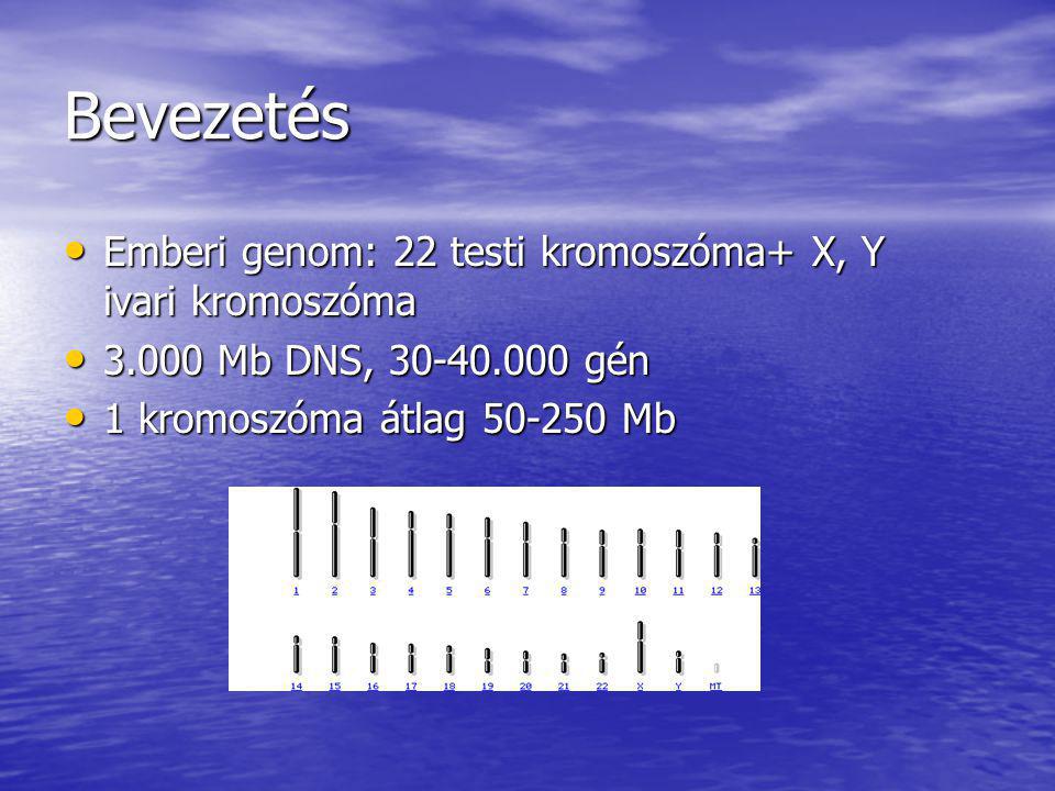 Bevezetés Emberi genom: 22 testi kromoszóma+ X, Y ivari kromoszóma