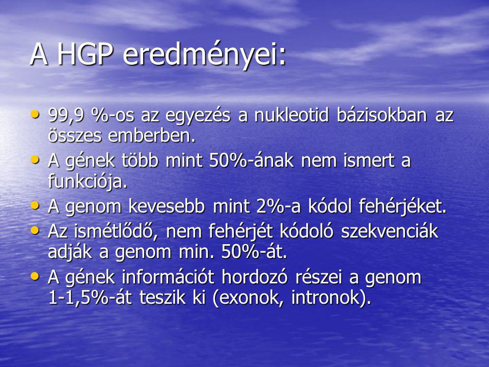 A HGP eredményei: 99,9 %-os az egyezés a nukleotid bázisokban az összes emberben. A gének több mint 50%-ának nem ismert a funkciója.