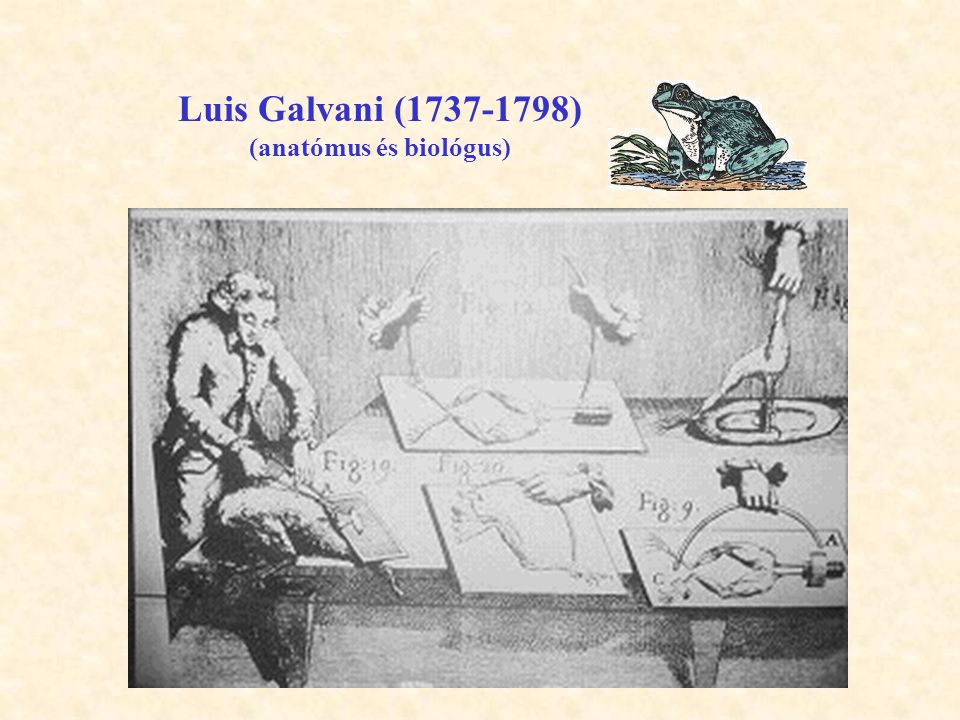 Luis Galvani ( ) (anatómus és biológus)