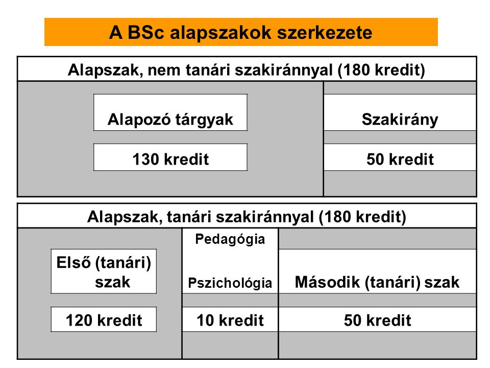 A BSc alapszakok szerkezete