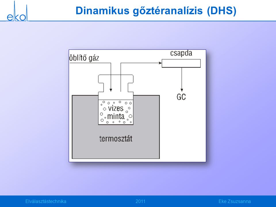 Dinamikus gőztéranalízis (DHS)