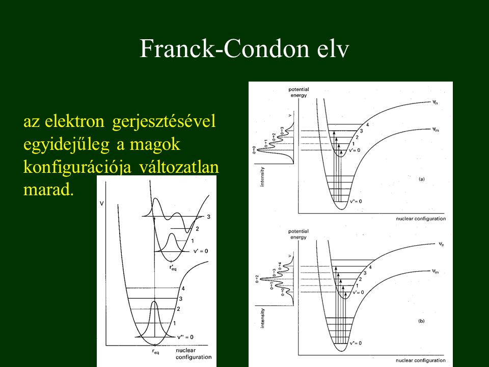 Franck-Condon elv az elektron gerjesztésével egyidejűleg a magok konfigurációja változatlan marad.