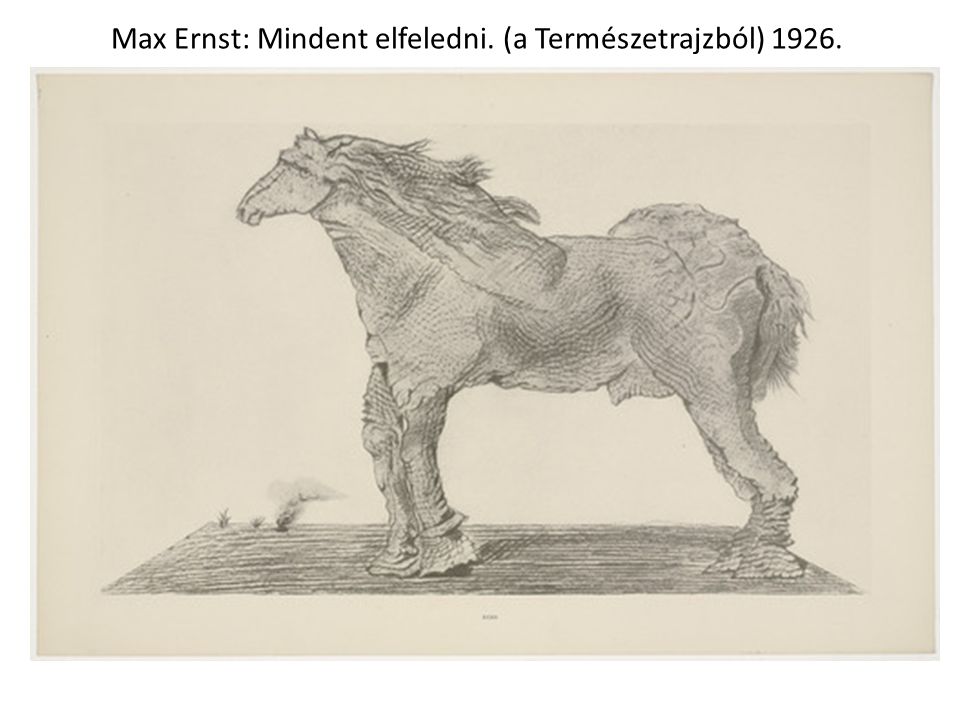 Max Ernst: Mindent elfeledni. (a Természetrajzból) 1926.