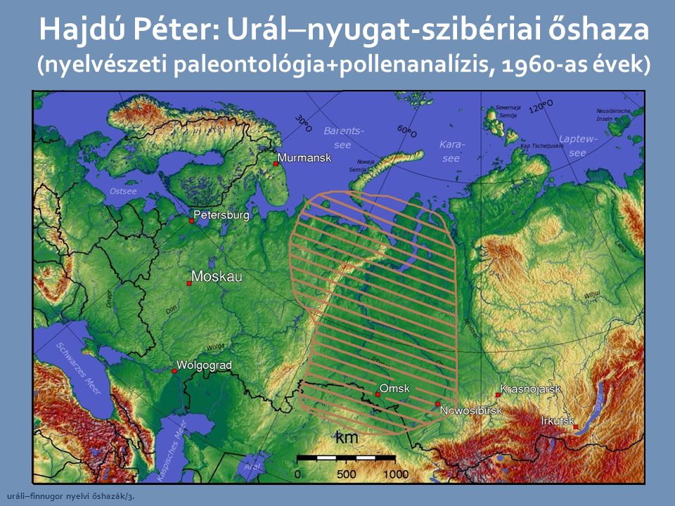 Hajdú Péter: Urálnyugat-szibériai őshaza (nyelvészeti paleontológia+pollenanalízis, 1960-as évek)