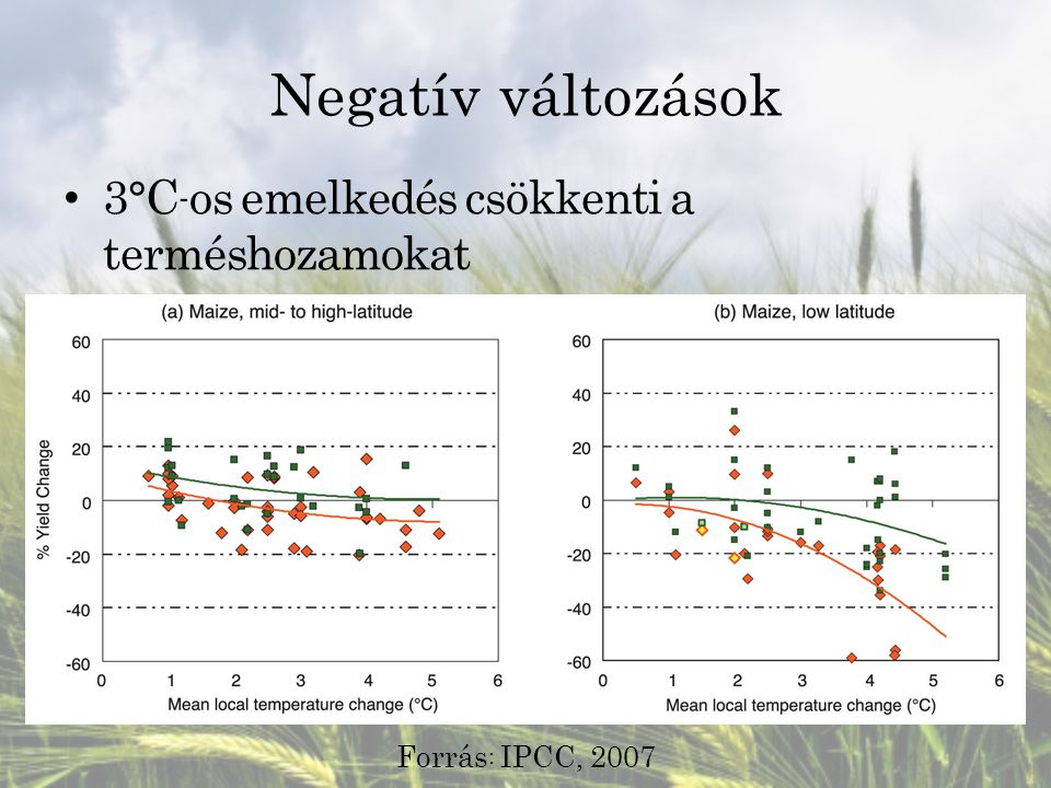 Negatív változások 3°C-os emelkedés csökkenti a terméshozamokat