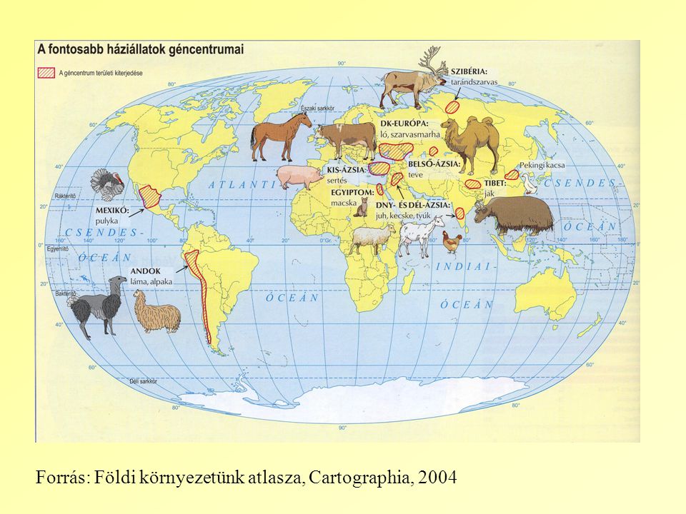 Forrás: Földi környezetünk atlasza, Cartographia, 2004