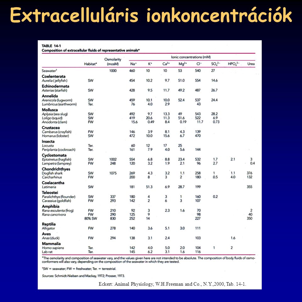 Extracelluláris ionkoncentrációk