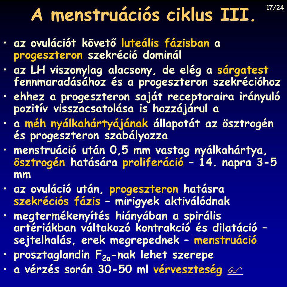 A menstruációs ciklus III.
