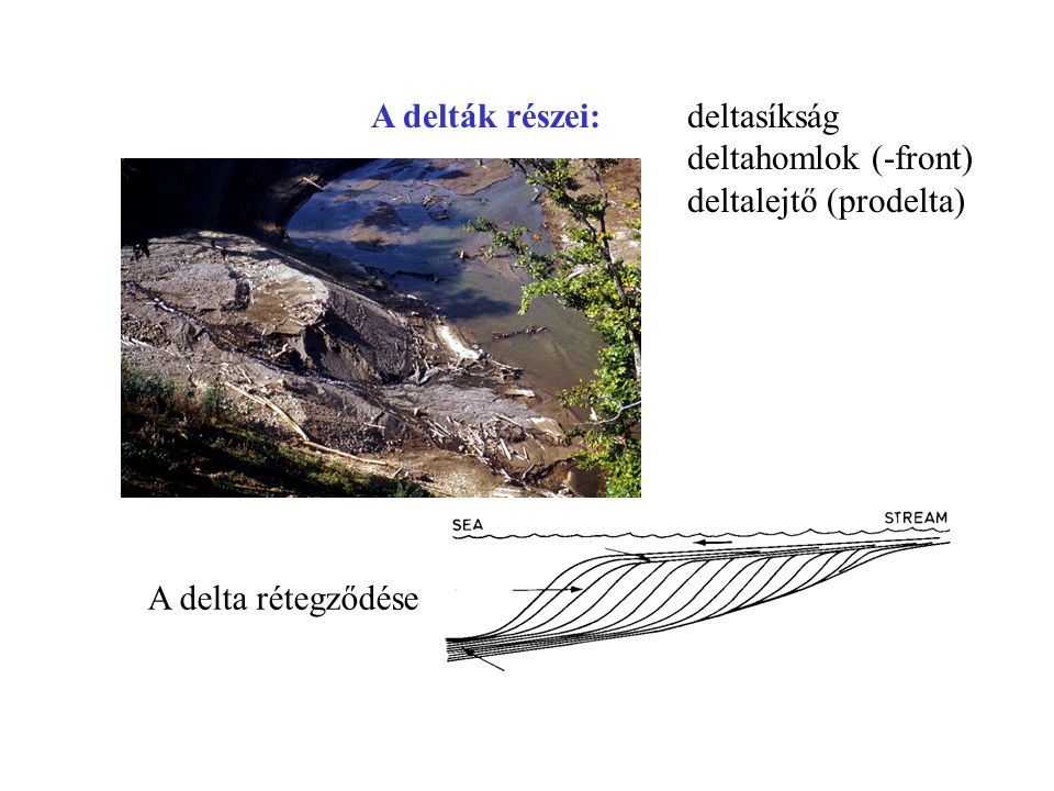 A delták részei: deltasíkság