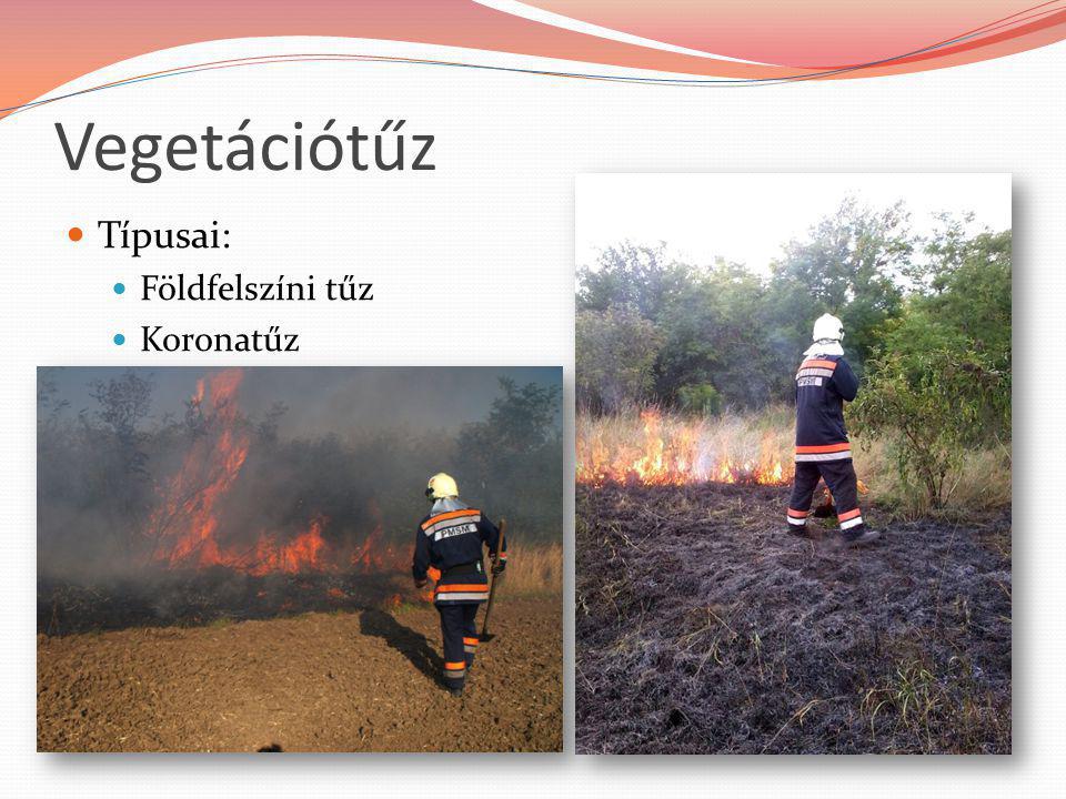 Vegetációtűz Típusai: Földfelszíni tűz Koronatűz