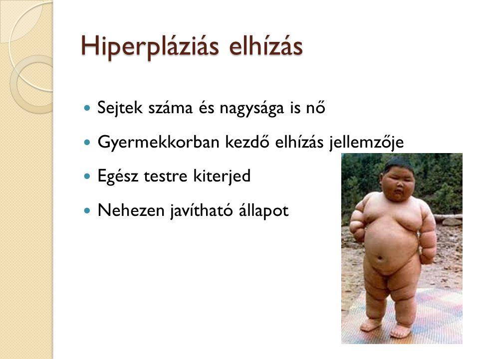Hiperpláziás elhízás Sejtek száma és nagysága is nő