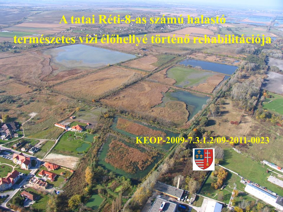 A tatai Réti-8-as számú halastó természetes vízi élőhellyé történő rehabilitációja