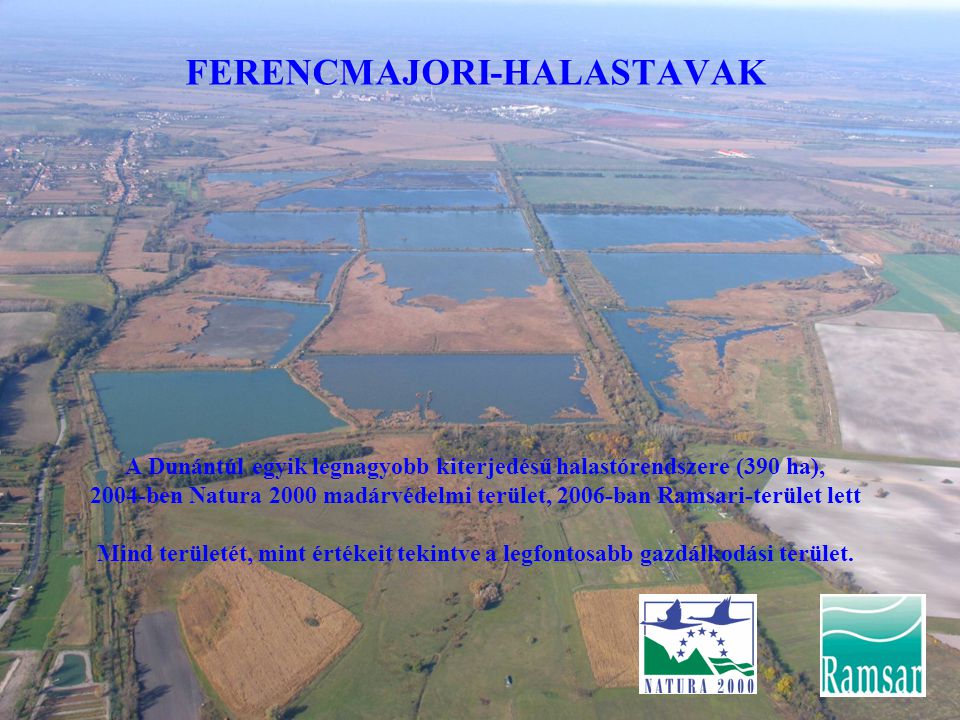 FERENCMAJORI-HALASTAVAK A Dunántúl egyik legnagyobb kiterjedésű halastórendszere (390 ha), 2004-ben Natura 2000 madárvédelmi terület, 2006-ban Ramsari-terület lett Mind területét, mint értékeit tekintve a legfontosabb gazdálkodási terület.
