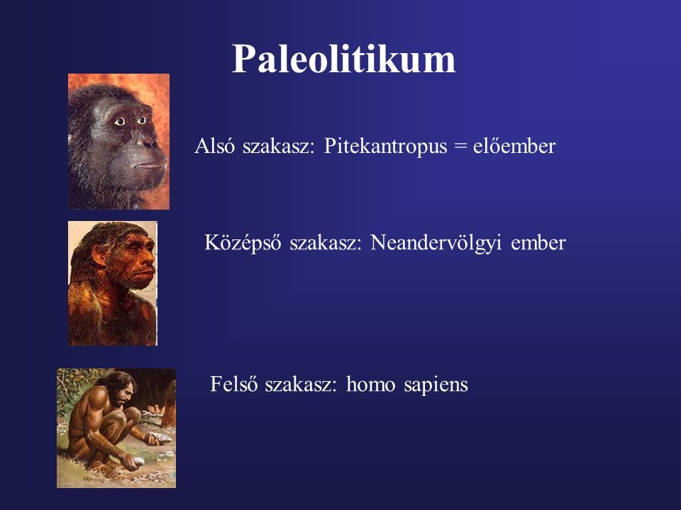 Paleolitikum Alsó szakasz: Pitekantropus = előember