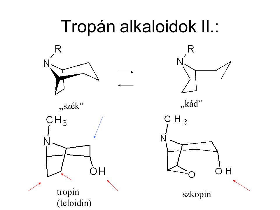 Tropán alkaloidok II.: „kád „szék tropin (teloidin) szkopin