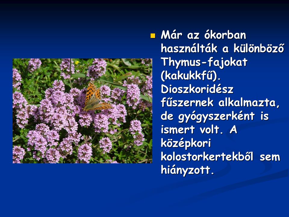 Már az ókorban használták a különböző Thymus-fajokat (kakukkfű)