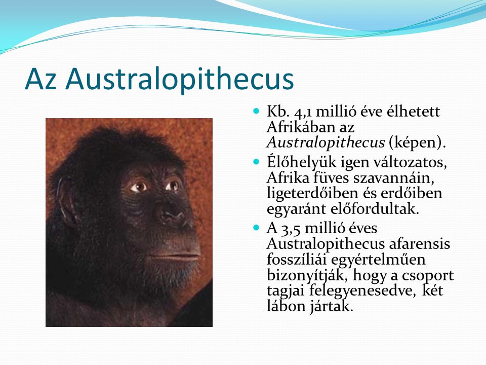 Az Australopithecus Kb. 4,1 millió éve élhetett Afrikában az Australopithecus (képen).