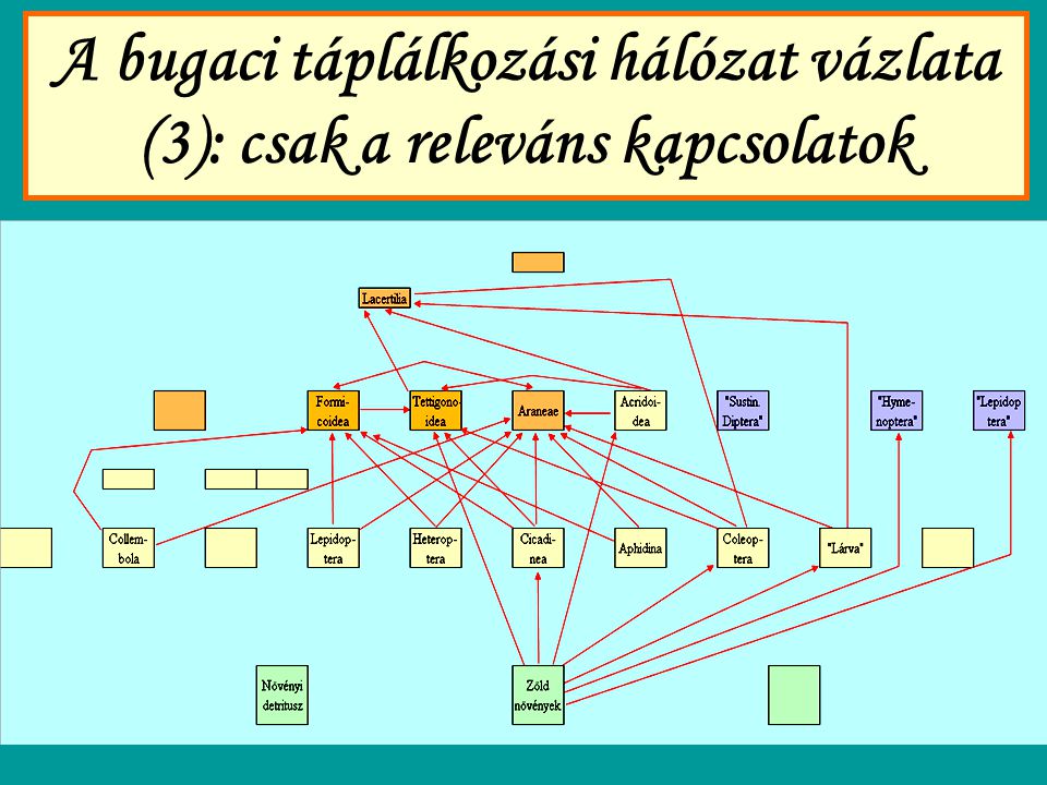 A bugaci táplálkozási hálózat vázlata (3): csak a releváns kapcsolatok