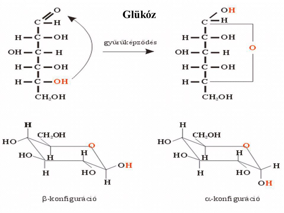 Glükóz
