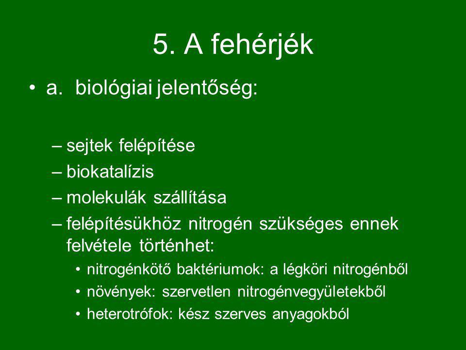 5. A fehérjék a. biológiai jelentőség: sejtek felépítése biokatalízis
