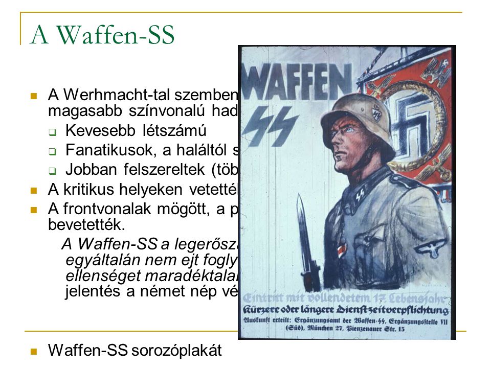 A Waffen-SS A Werhmacht-tal szemben jóval kisebb, de sokkal magasabb színvonalú hadosztályok. Kevesebb létszámú.
