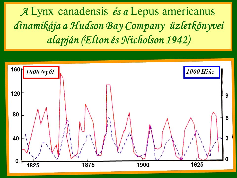 A Lynx canadensis és a Lepus americanus dinamikája a Hudson Bay Company üzletkönyvei alapján (Elton és Nicholson 1942)