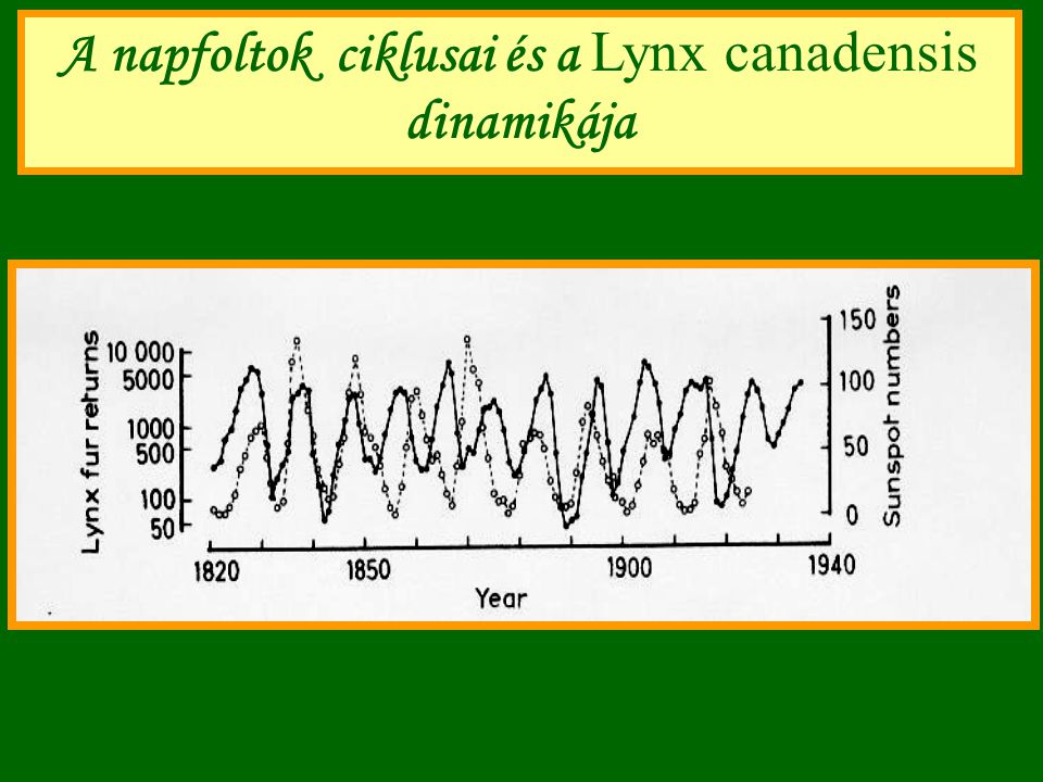 A napfoltok ciklusai és a Lynx canadensis dinamikája