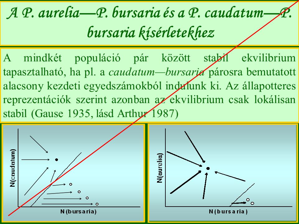 A P. aurelia—P. bursaria és a P. caudatum—P. bursaria kísérletekhez