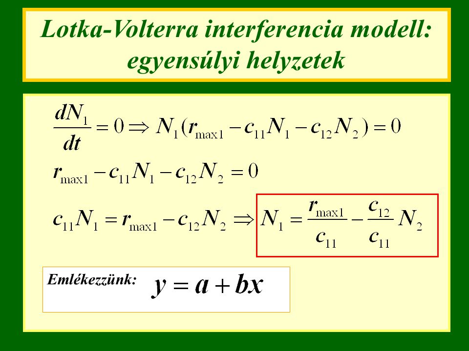 Lotka-Volterra interferencia modell: egyensúlyi helyzetek