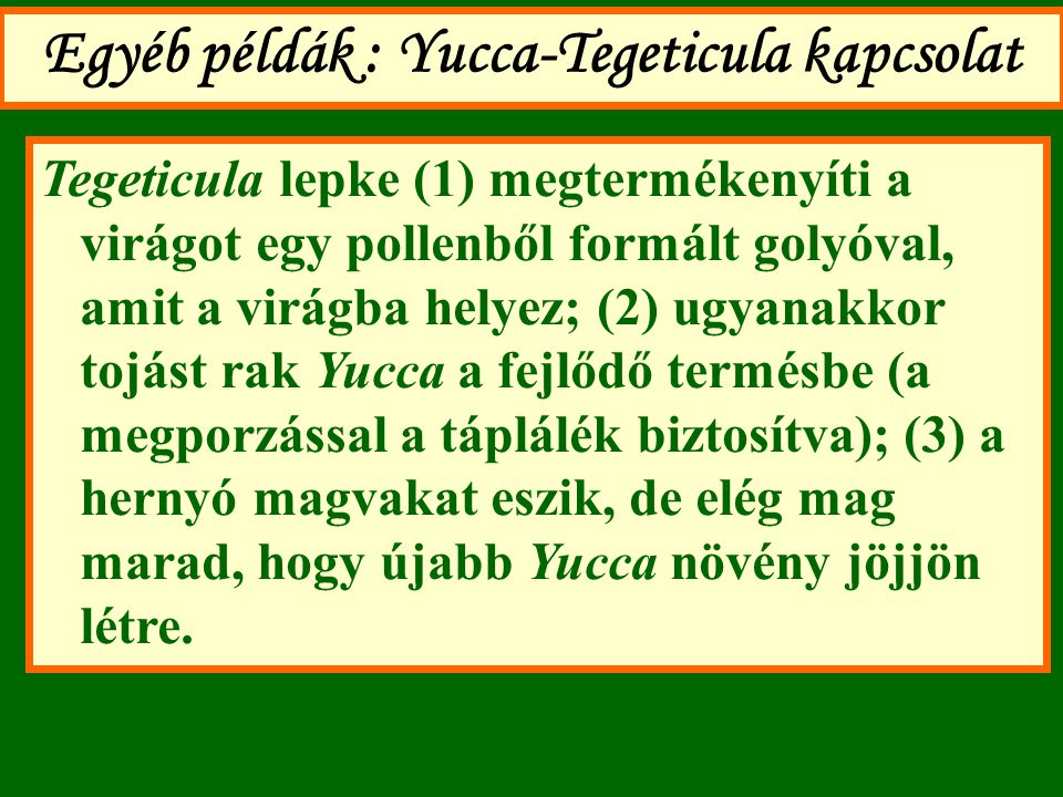 Egyéb példák : Yucca-Tegeticula kapcsolat