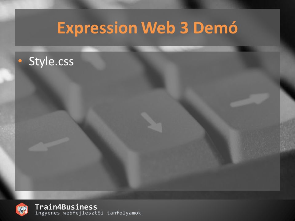 Expression Web 3 Demó Style.css