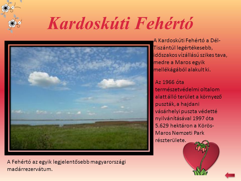 Kardoskúti Fehértó A Kardoskúti Fehértó a Dél-Tiszántúl legértékesebb, időszakos vízállású szikes tava, medre a Maros egyik mellékágából alakult ki.