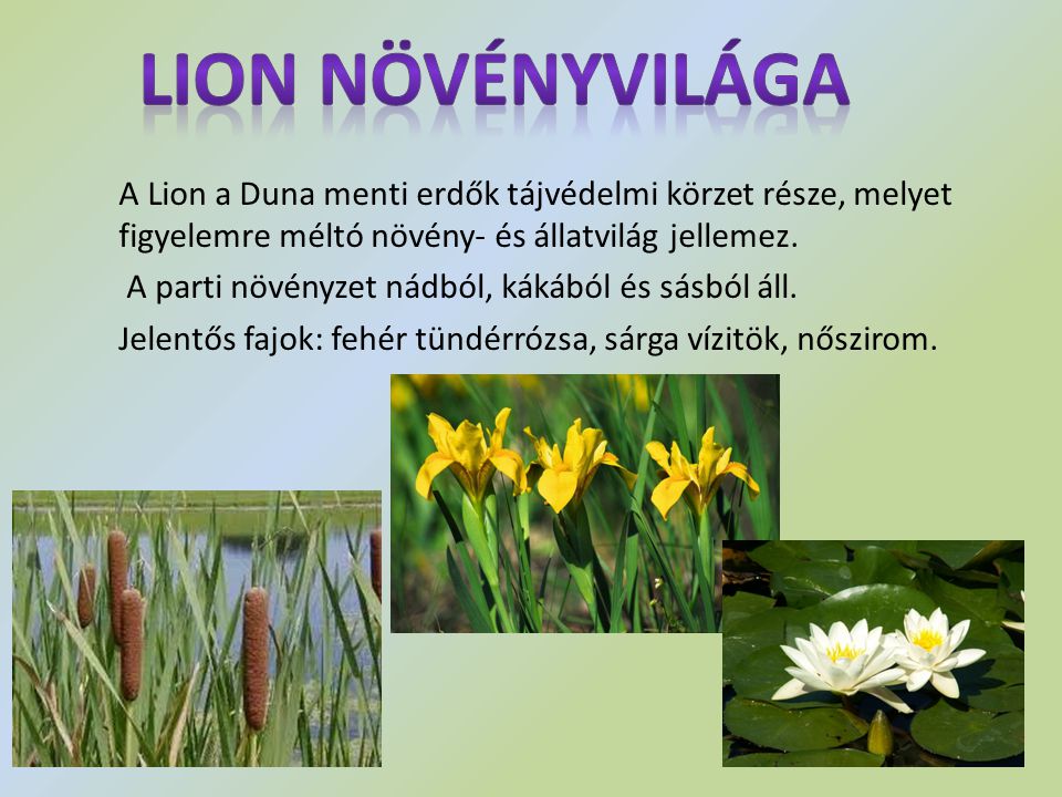 Lion növényvilága A Lion a Duna menti erdők tájvédelmi körzet része, melyet figyelemre méltó növény- és állatvilág jellemez.