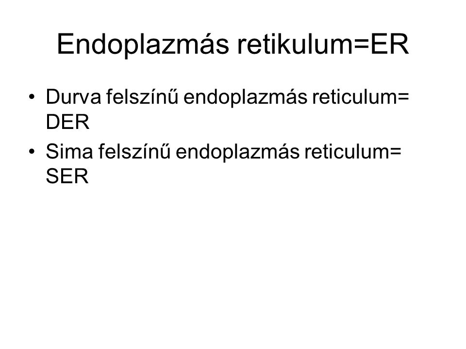 Endoplazmás retikulum=ER