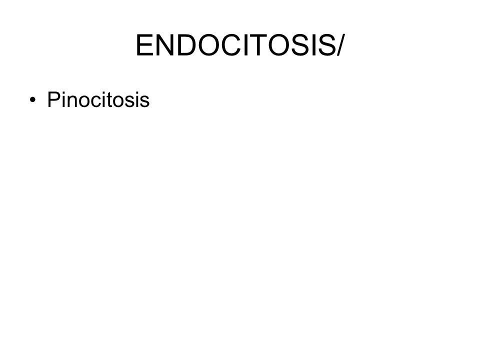 ENDOCITOSIS/ Pinocitosis
