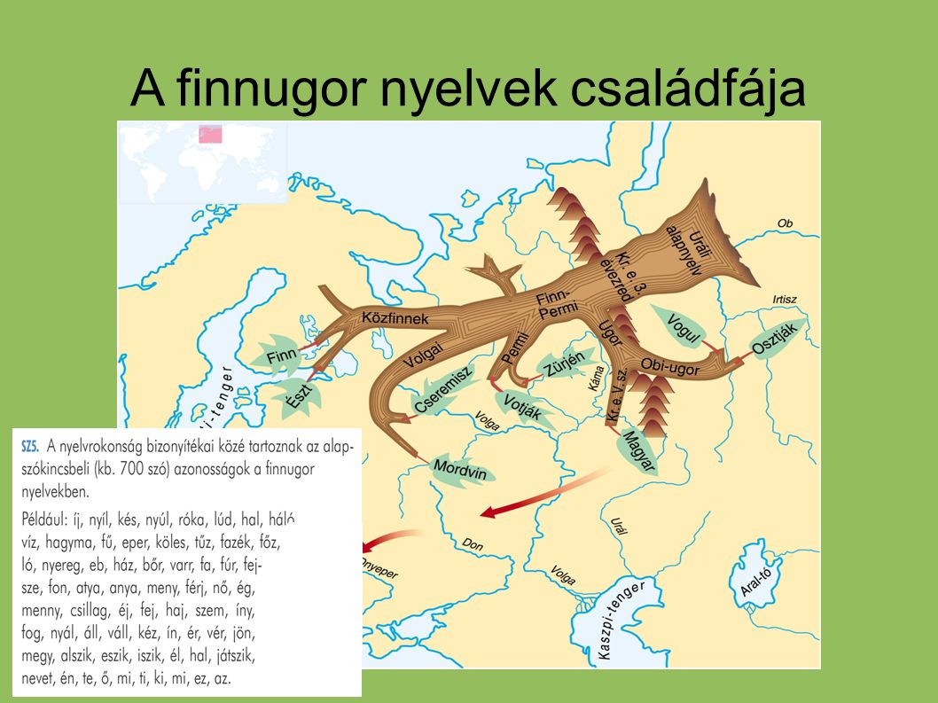 A finnugor nyelvek családfája