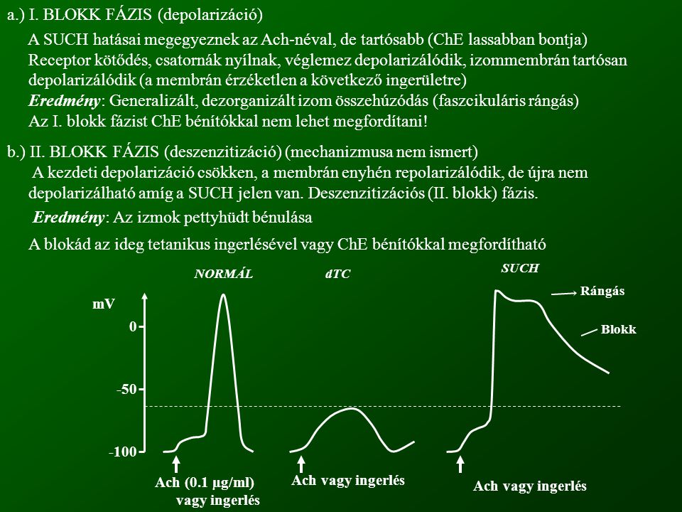 a.) I. BLOKK FÁZIS (depolarizáció)