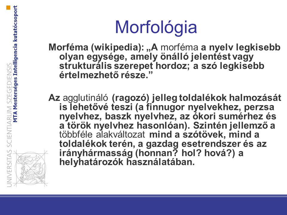 Morfológia