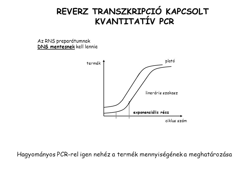 REVERZ TRANSZKRIPCIÓ KAPCSOLT KVANTITATÍV PCR