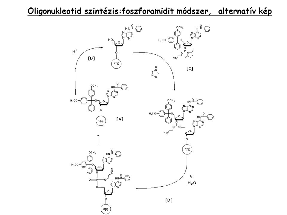 Oligonukleotid szintézis:foszforamidit módszer, alternatív kép