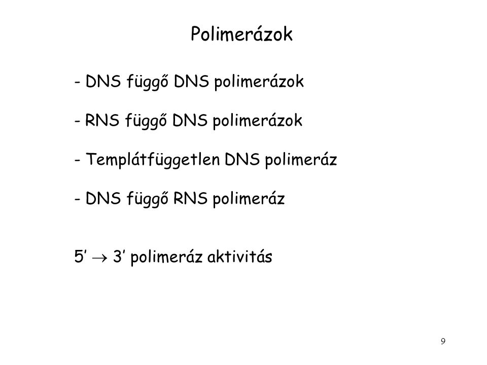 Polimerázok DNS függő DNS polimerázok RNS függő DNS polimerázok